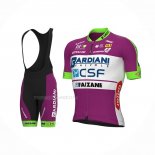 2022 Maillot Cyclisme Bardiani Csf Faizane Vert Violet Manches Courtes Et Cuissard